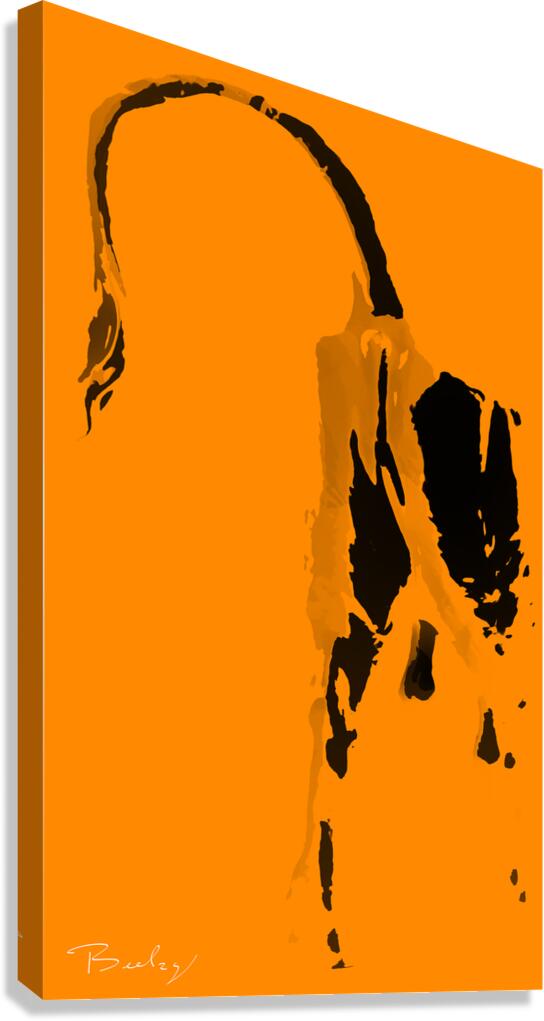 Giclée Stretched Canvas Print