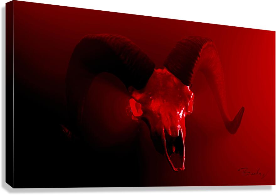 Giclée Stretched Canvas Print