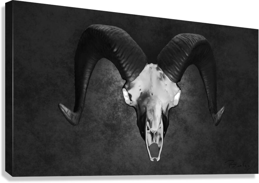 Giclée Stretched Canvas Print