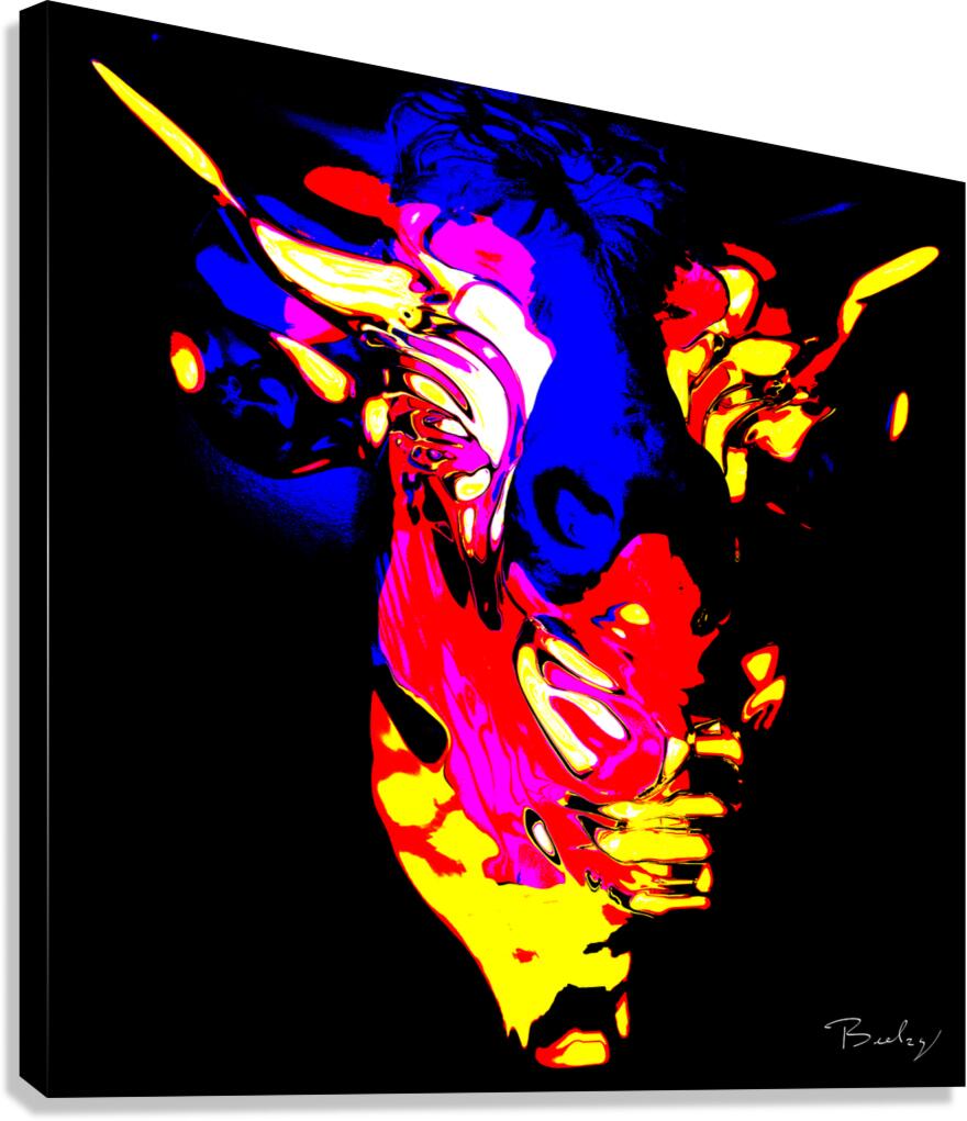 Giclée Stretched Canvas Print
