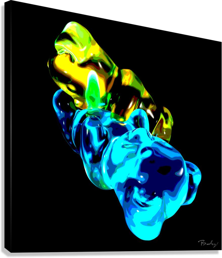 Giclée Stretched Canvas Print