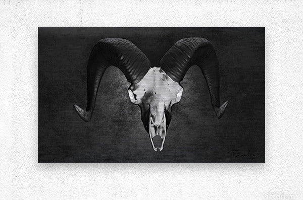 Brushed Metal Print