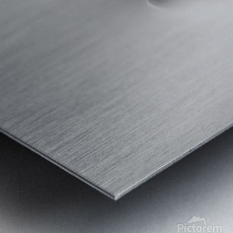 Brushed Metal Print