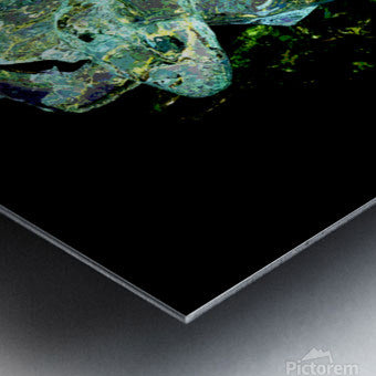 Brushed Metal Print
