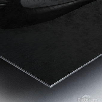 Brushed Metal Print