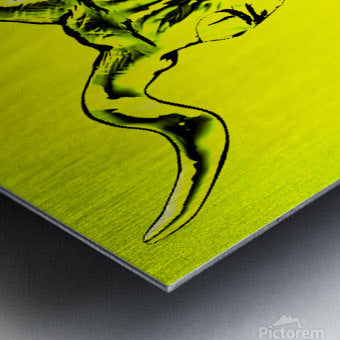 Brushed Metal Print