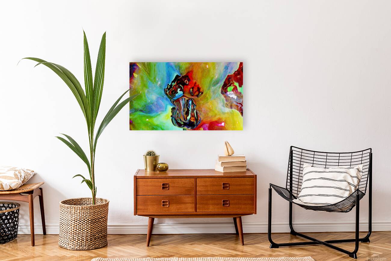 Giclée Stretched Canvas Print