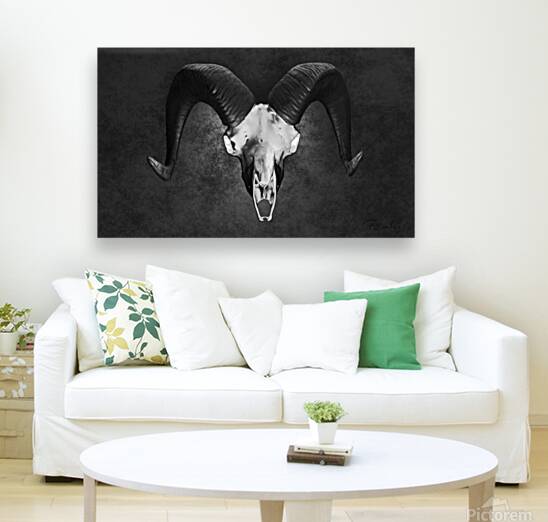 Giclée Stretched Canvas Print