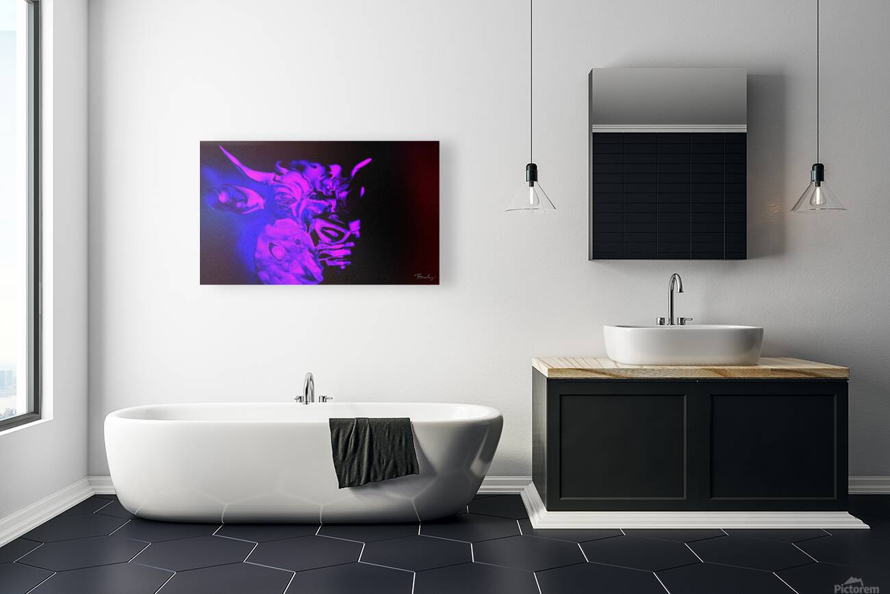 Giclée Stretched Canvas Print