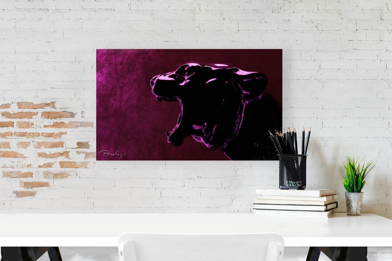 Giclée Stretched Canvas Print
