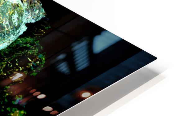 HD Sublimation Metal Print