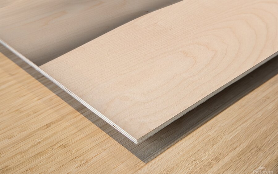 Wood Print