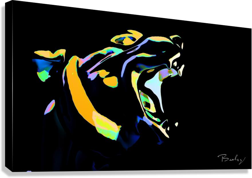 Giclée Stretched Canvas Print